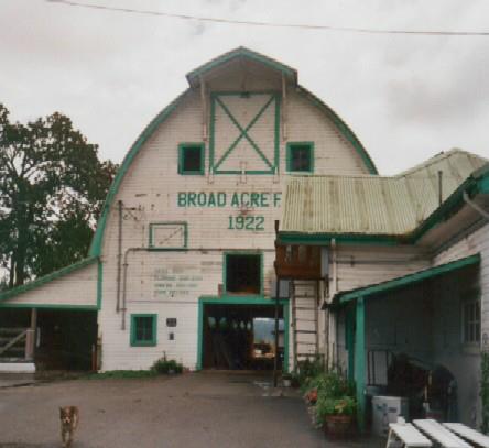 Broad Acres Farm 1922 Barn and good dog Saddie