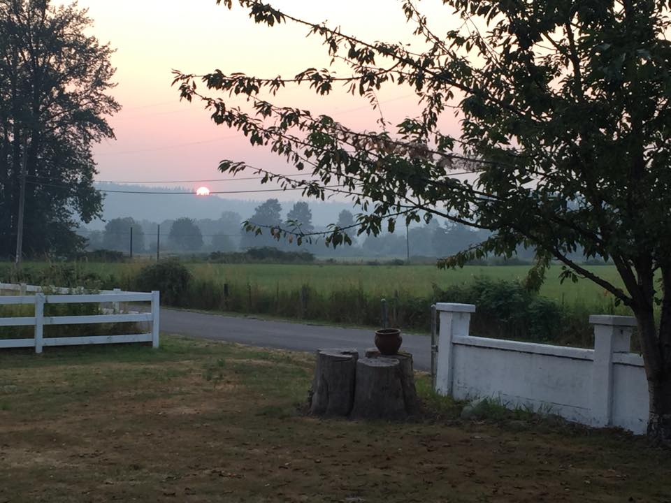 Lovely evening